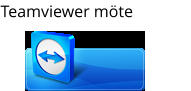 Teamviewer mte